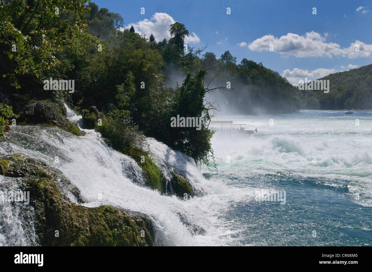 Rheinfall bei Schaffhausen, Wasserfall, der Schweiz, Europa Stockfoto