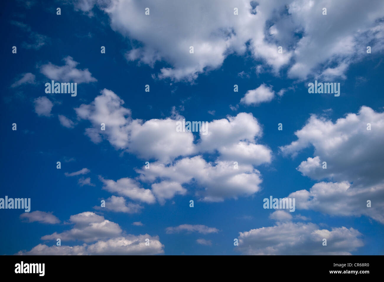 Viele Cumulus-Wolken am blauen Himmel Stockfoto