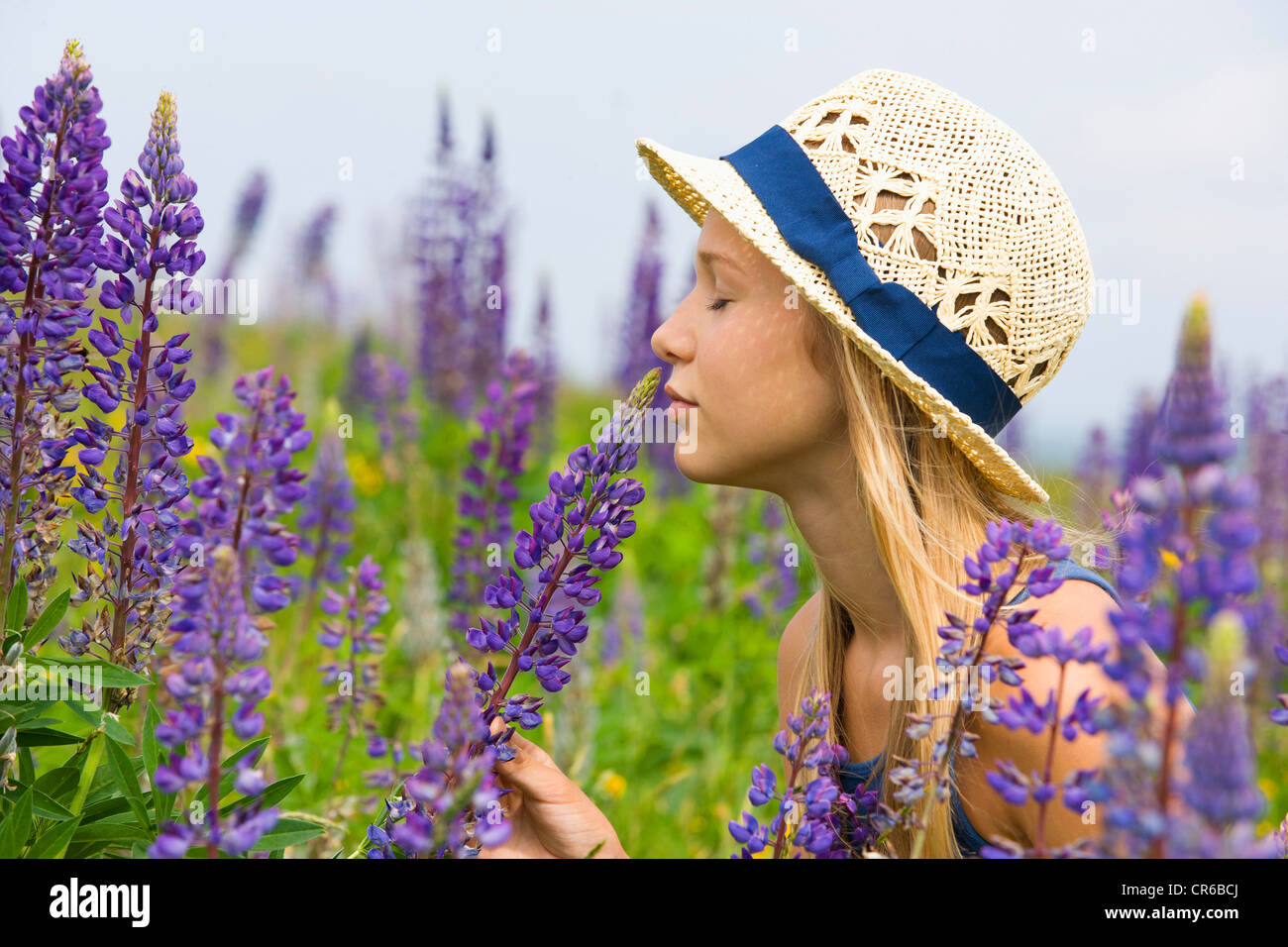 Österreich, Teenage Mädchen riechen lupine Blüte Stockfoto