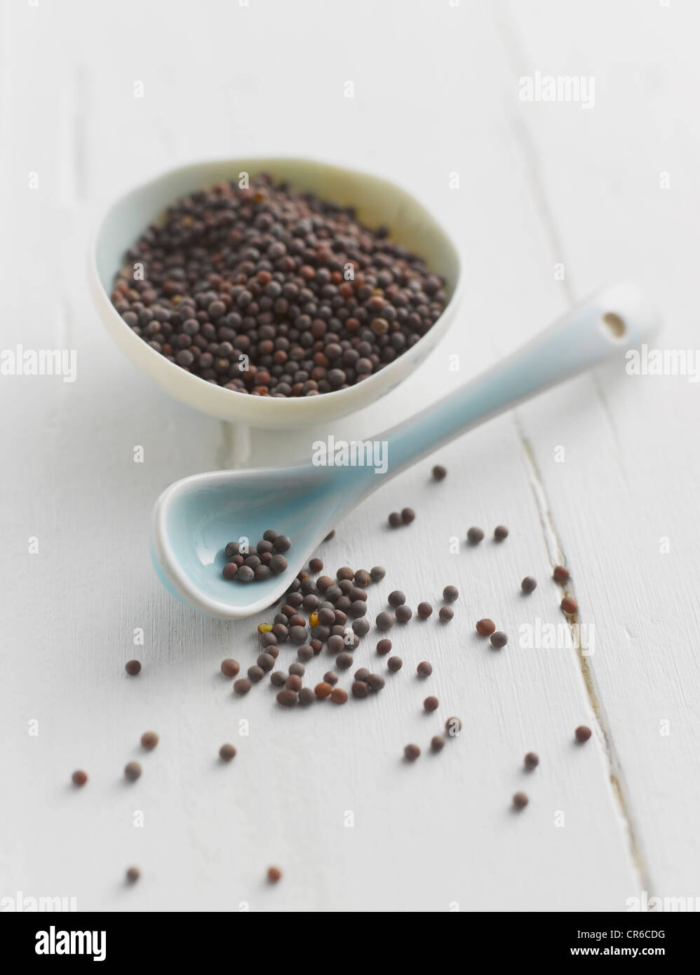 Schwarze Senfsamen in Schüssel mit Löffel, Nahaufnahme Stockfoto