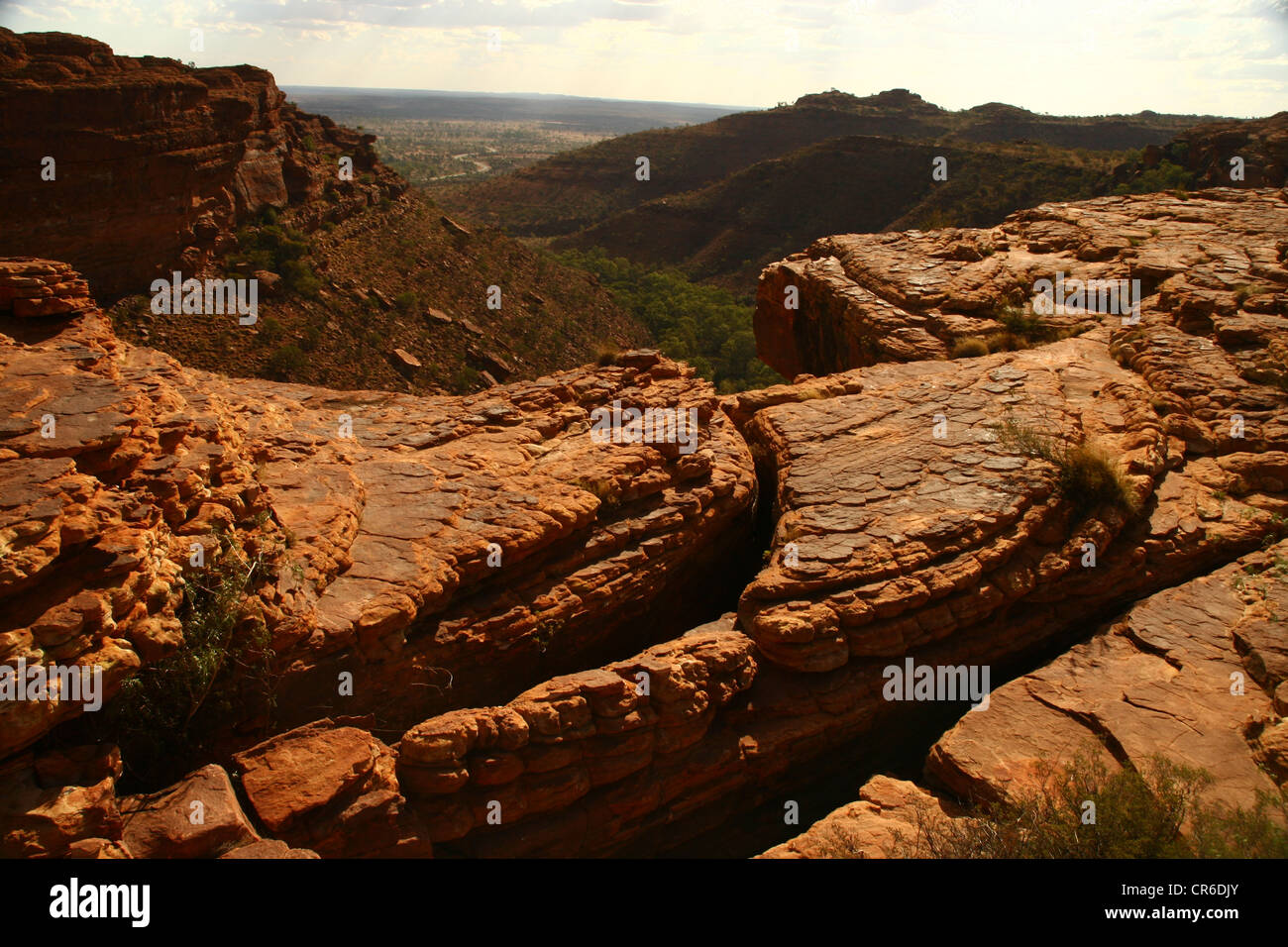 Kings Canyon, Watarrka National Park Northern Territory Australien Stockfoto