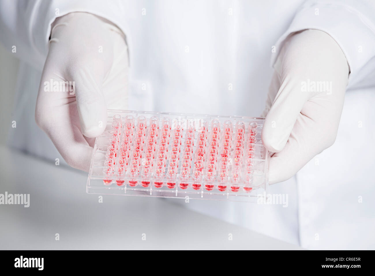 Deutschland, Bayern, München, Wissenschaftler halten roten Flüssigkeit im Behälter für die medizinische Forschung im Labor testen Stockfoto