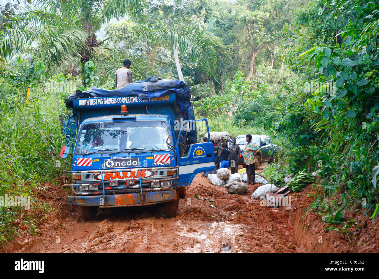 LKW stecken in den Schlamm und Dschungelpfad, Bamenda, Kamerun, Afrika Stockfoto