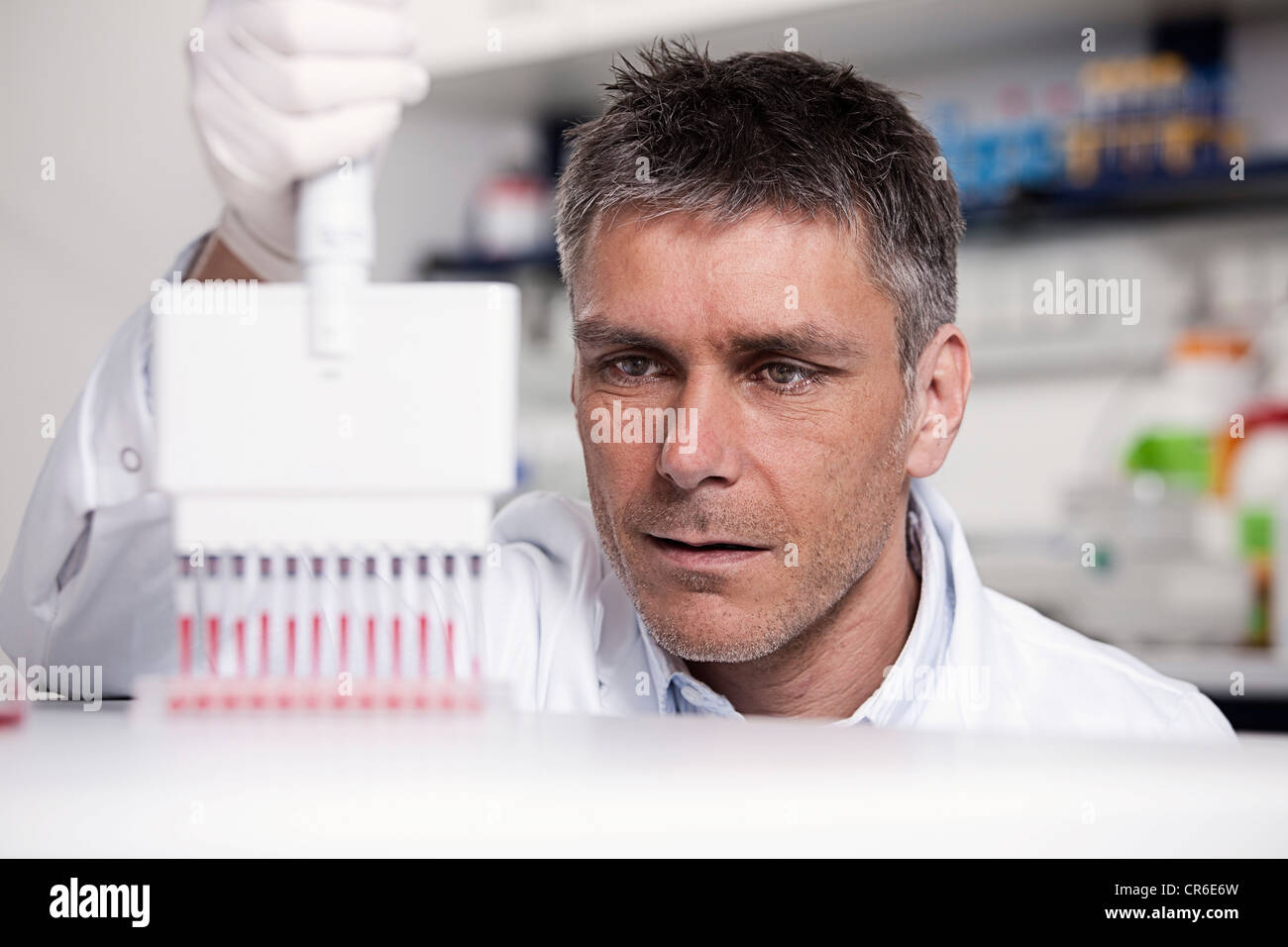 Deutschland, Bayern, München, Wissenschaftler strömenden rote Flüssigkeit mit Pipette im Fach für die medizinische Forschung im Labor testen Stockfoto