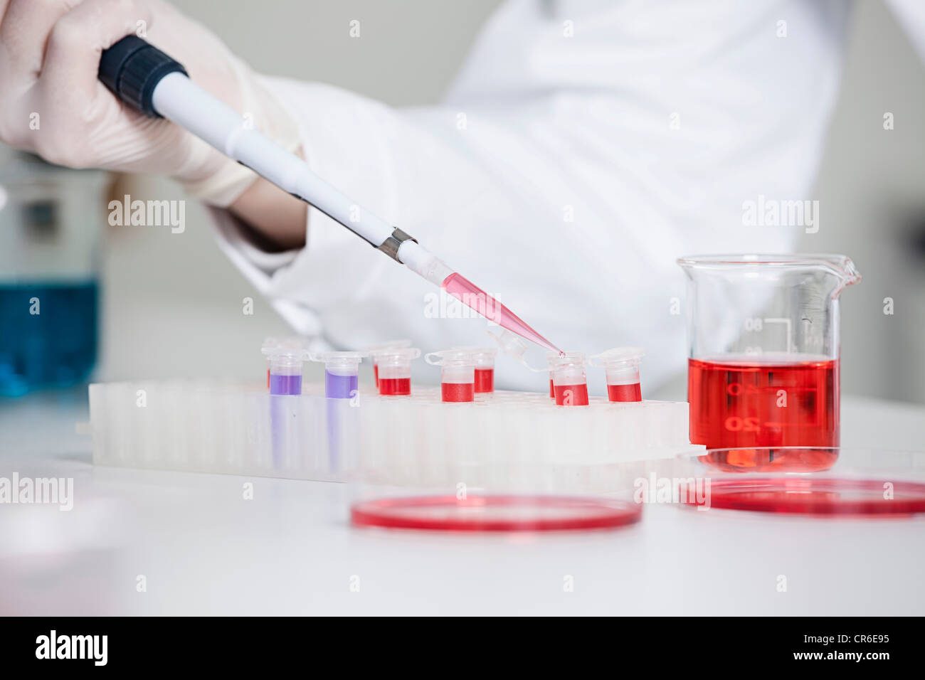 Deutschland, Bayern, München, Wissenschaftler strömenden rote Flüssigkeit in Reagenzglas für die medizinische Forschung im Labor Stockfoto