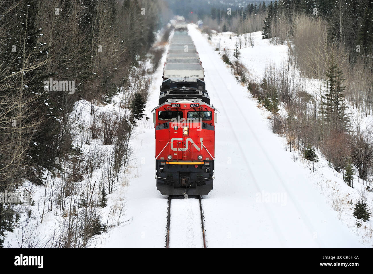 Vorderansicht des Canadian National Güterzug Stockfoto