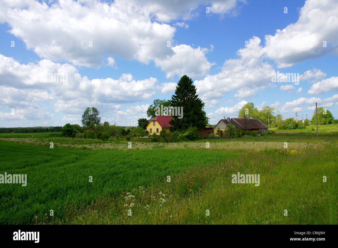Ländlichen Landschaft mit bewölktem Himmel und grünen Pflanzen Stockfoto