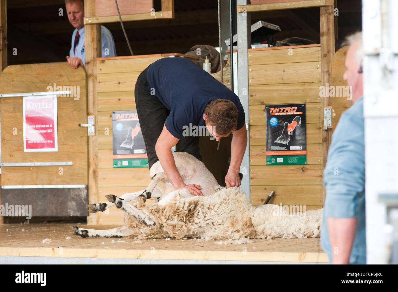 Cornwall, England 2012 Royal Cornwall Show - Wettbewerb der Schafschur Stockfoto