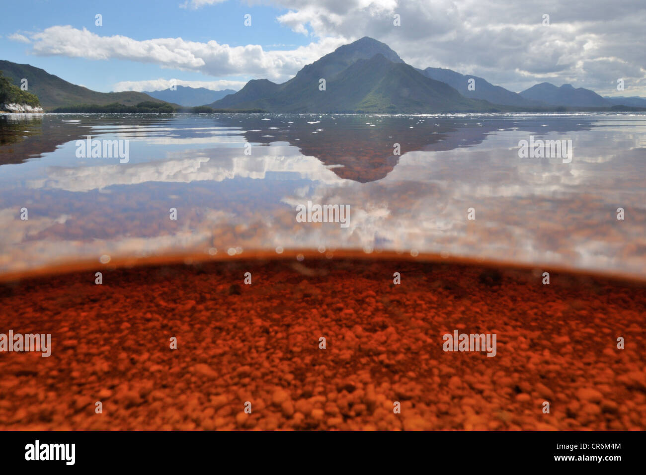 Kamera, teilweise unter Wasser, die Wirkung von Tannin in den Süßwasser.  Bathurst Harbour, Port Davey Marine Reserve, Tasmanien Stockfoto