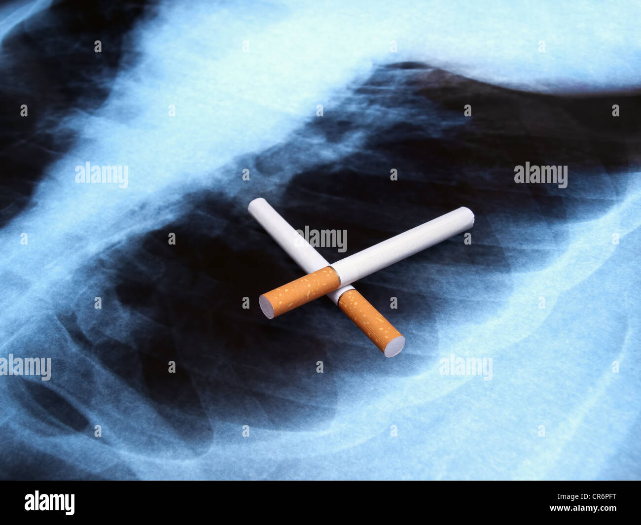 Konzeptbild Rauchen und Lungenkrebs. Stockfoto