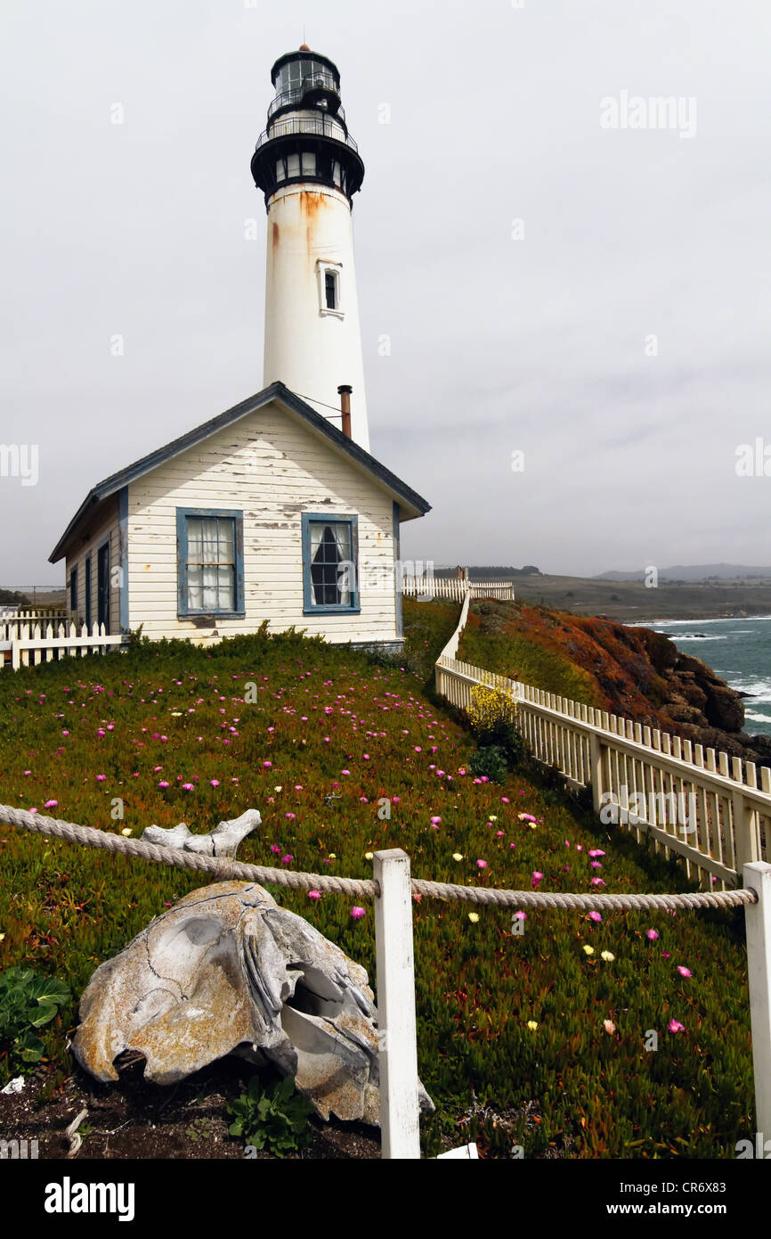 Niedrigen Winkel vertikale Ansicht von Pigeon Point Lighthouse mit Wildblumen und Walknochen, San Mateo County, Kalifornien Stockfoto