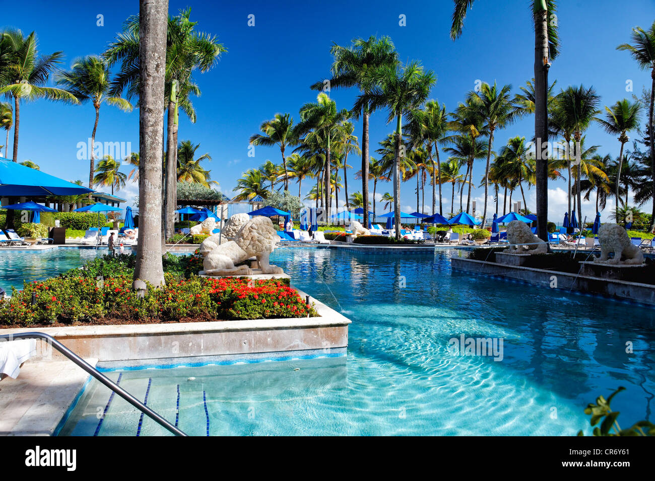 Pool mit Palmen und Lion Wate Tüllen, Ritz-Carlton Resort Hotel, San Juan, Puerto Rico Stockfoto
