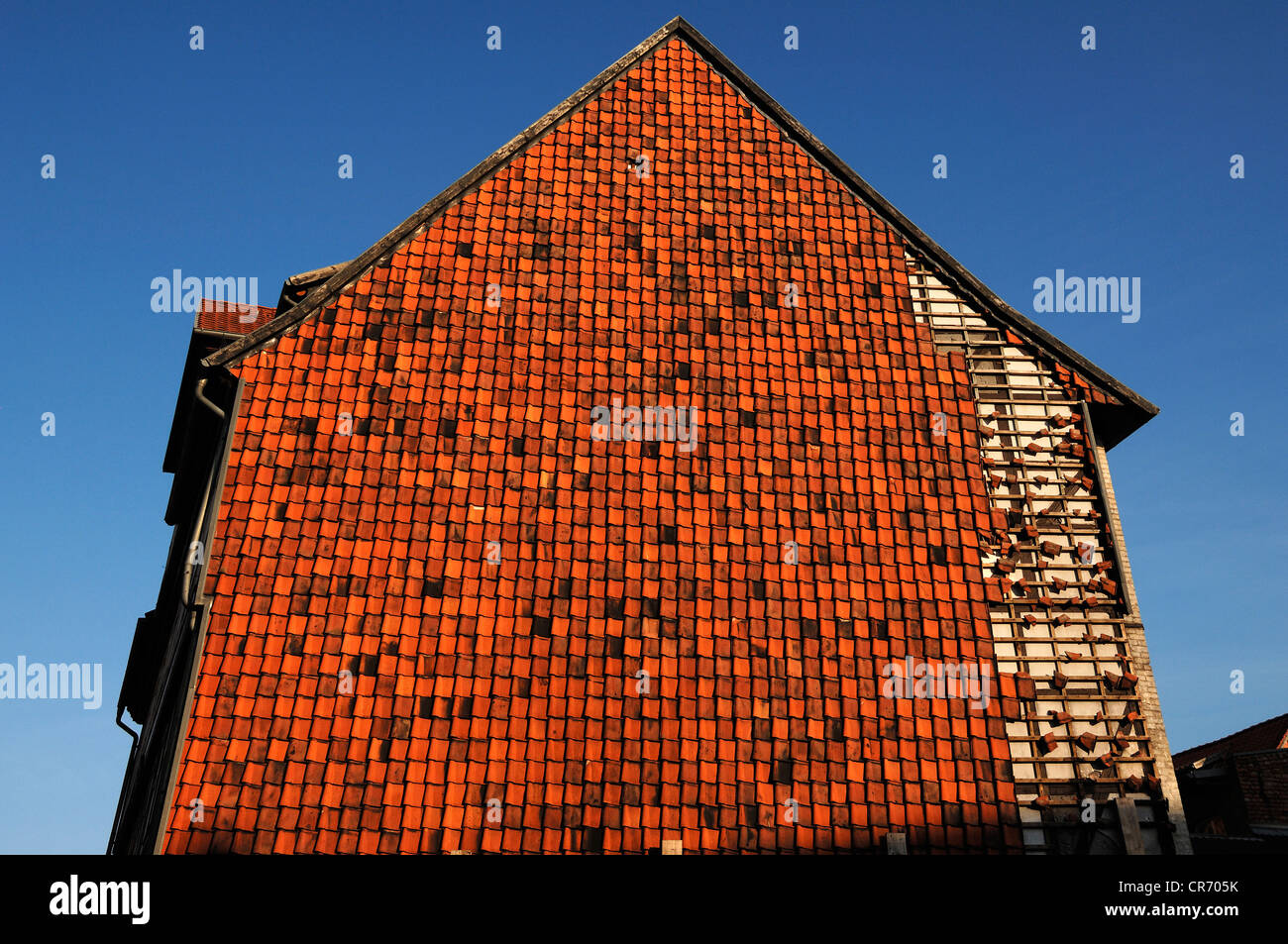 Seitenwand eines alten Hauses bedeckt Dachziegel, Quedlinburg, Sachsen-Anhalt, Deutschland, Europa Stockfoto