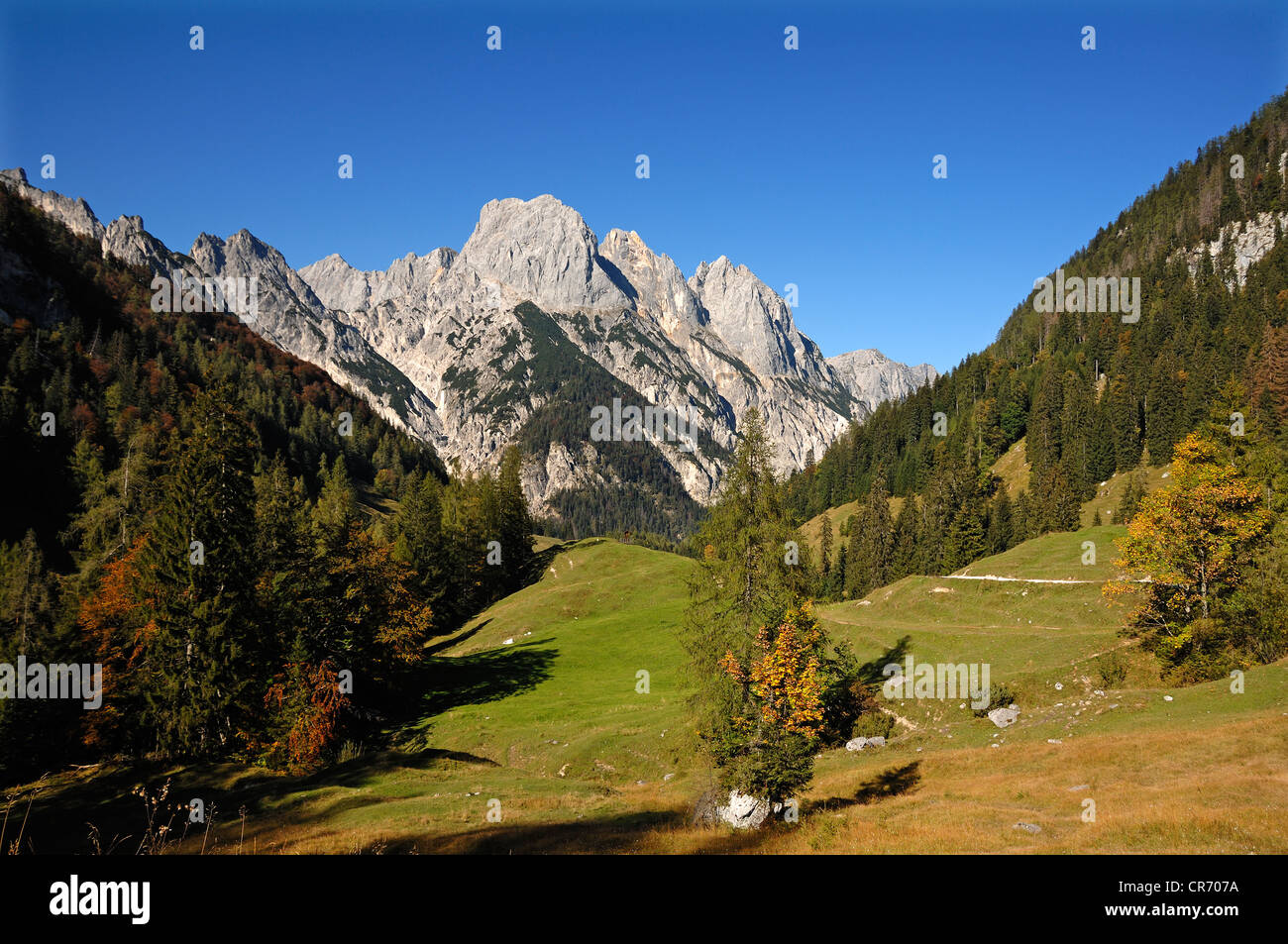 Blick vom Bindalm, Alp, auf Mt Muehlsturzhoerner, Hintersee bei Ramsau, Upper Bavaria, Bayern, Deutschland, Europa Stockfoto
