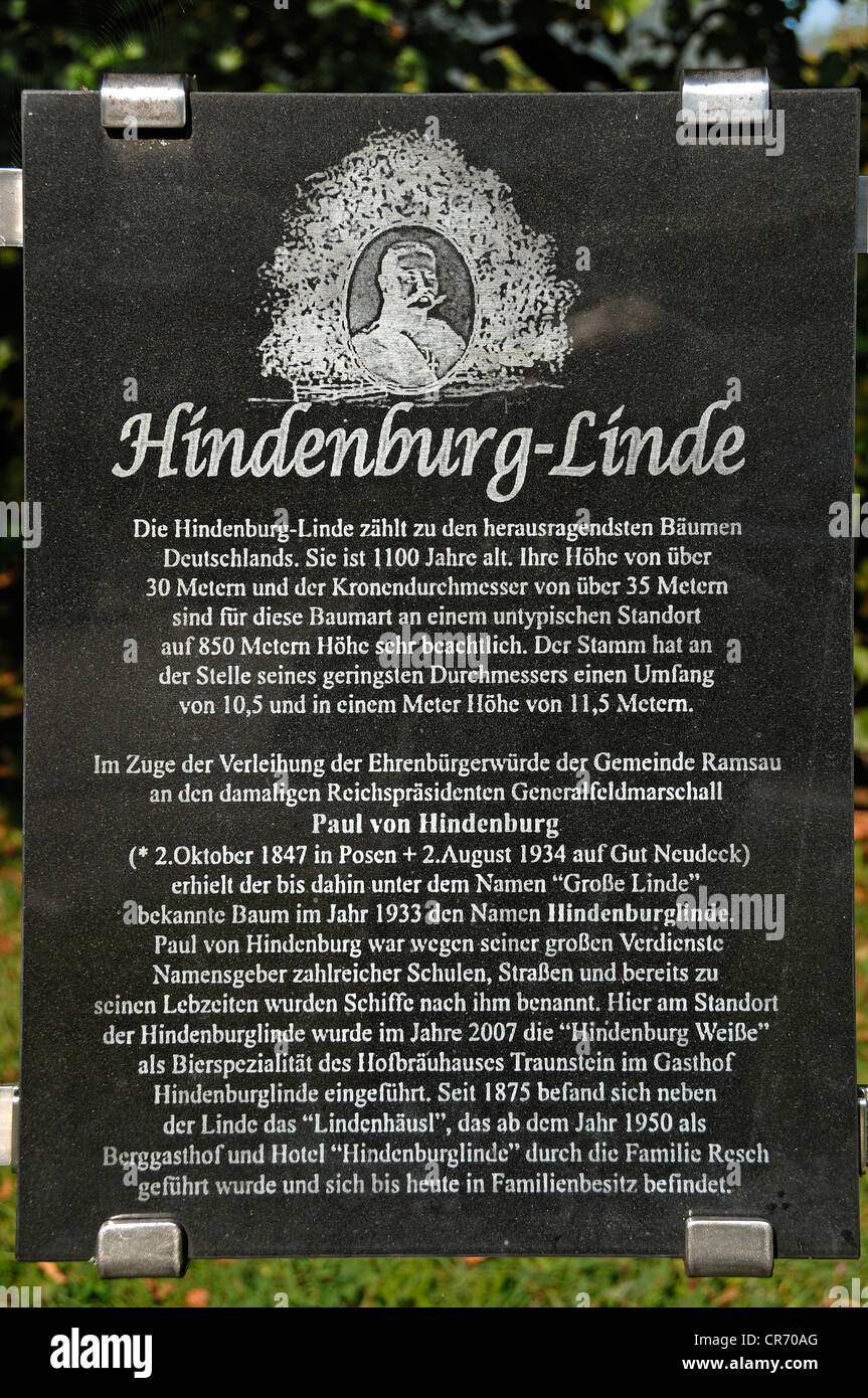 Informationen-Boot auf der Hindenburg-Linde, alte Linde, 1100 Jahre, Alpenstrasse B305 in der Nähe von Ramsau, Oberbayern Stockfoto
