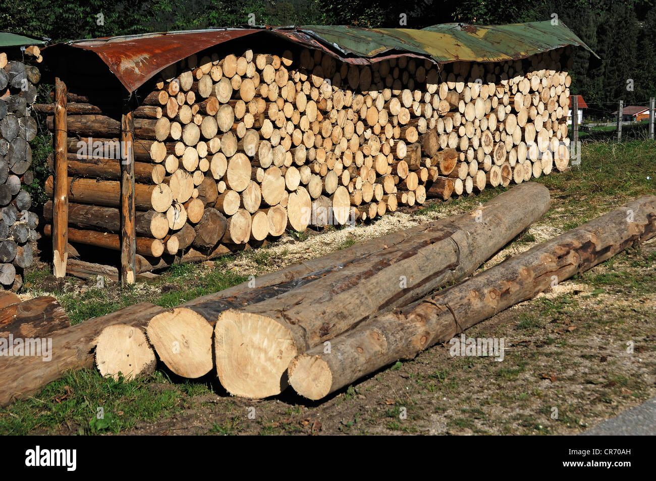 Gesägte Baumstämme, 1 Meter, bedeckt und gestapelt, Ramsau, Upper Bavaria, Bayern, Deutschland, Europa Stockfoto