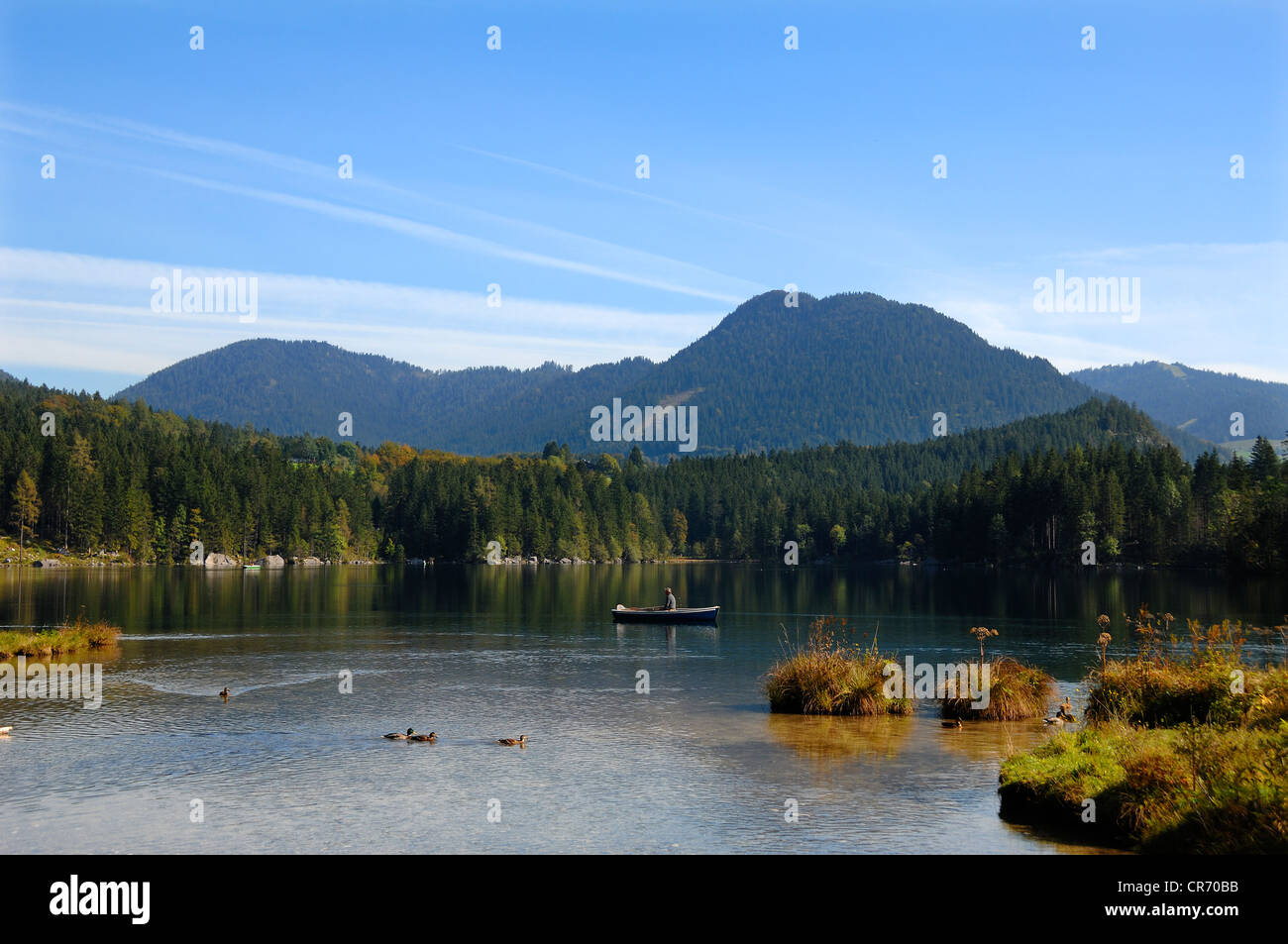 Hintersee See, Hintersee, Ramsau, Oberbayern, Deutschland, Europa Stockfoto