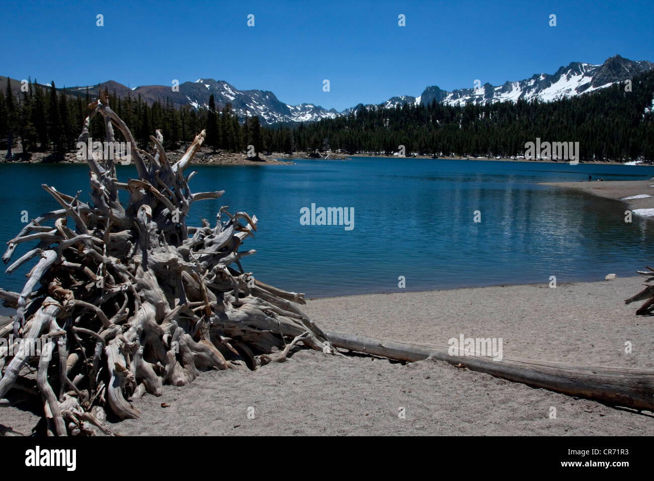 Malerische Aussicht von Horseshoe Lake, in der Nähe von Mammoth Lakes, Kalifornien, USA im Juni mit den Bergen im Abstand vom Strand Stockfoto