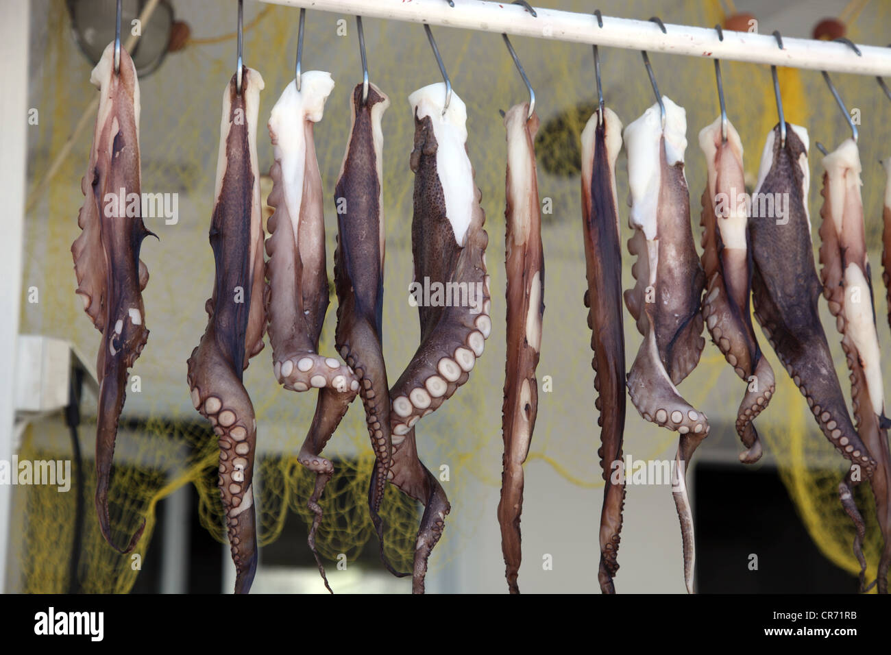 Tintenfisch, Tintenfisch, für den Verkauf in einem Markt, Mykonos, Griechenland Stockfoto