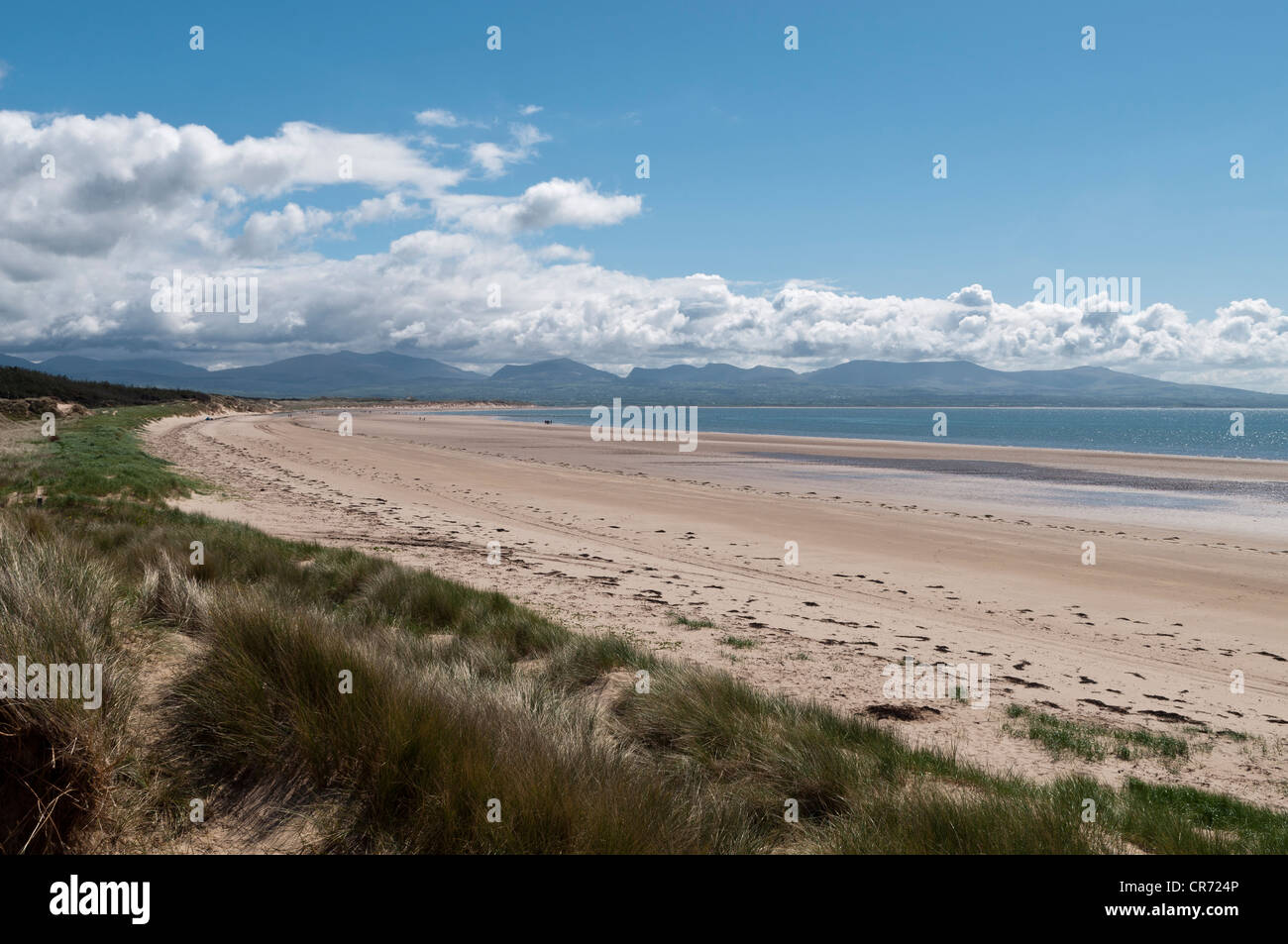 Llanddwyn Insel Anglesey Nordwales Stockfoto