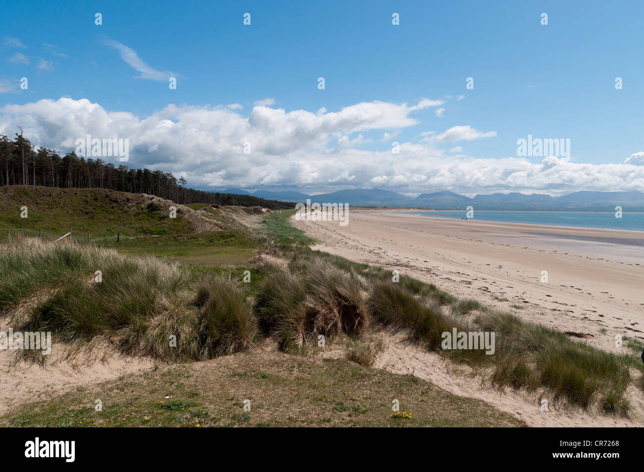Llanddwyn Insel Anglesey Nordwales Stockfoto