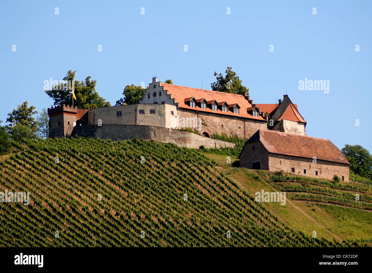 Burg Staufenberg Schloss mit Weinbergen, Durbach, Baden-Württemberg, Deutschland, Europa Stockfoto