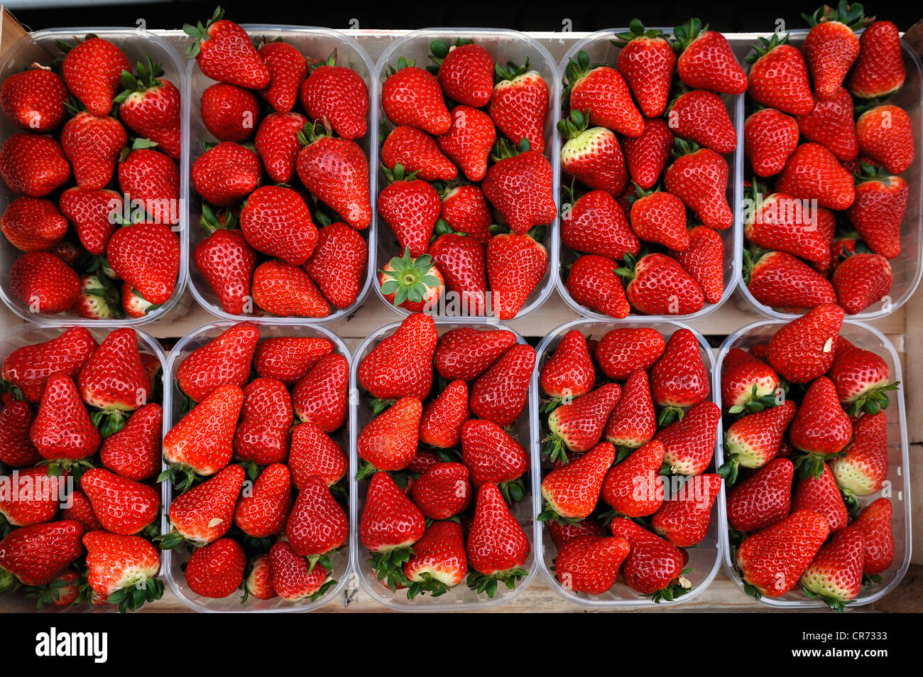 Frische Erdbeeren (Fragaria Ananassa) in Plastikschalen an einem Obststand Stockfoto