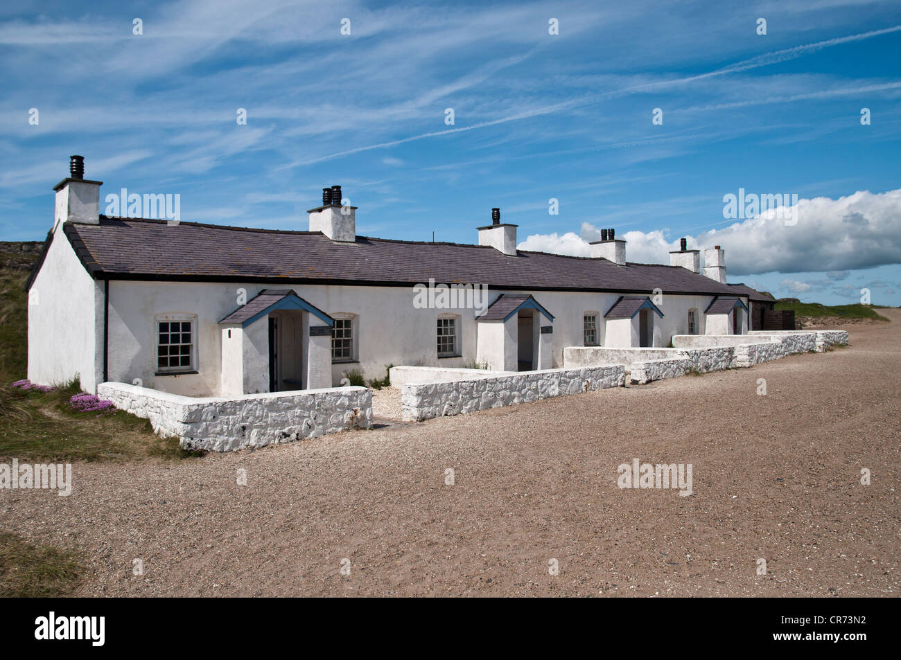 Pilot auf dem Land auf Llanddwyn Insel Anglesey North Wales Stockfoto