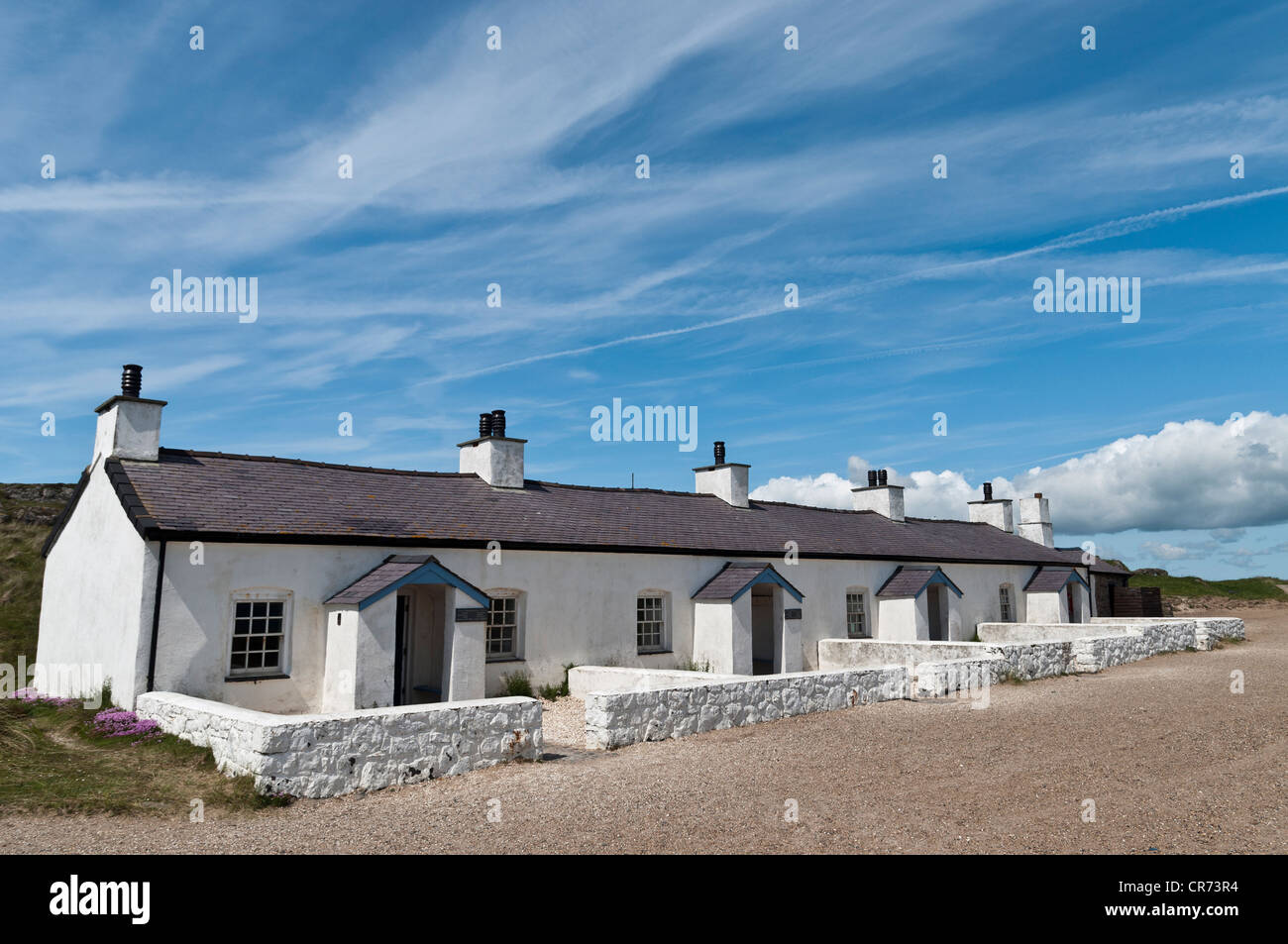 Pilot auf dem Land auf Llanddwyn Insel Anglesey North Wales Stockfoto