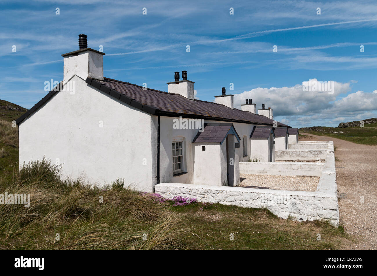 Pilot auf dem Land auf Llanddwyn Insel Anglesey North Wales Stockfoto