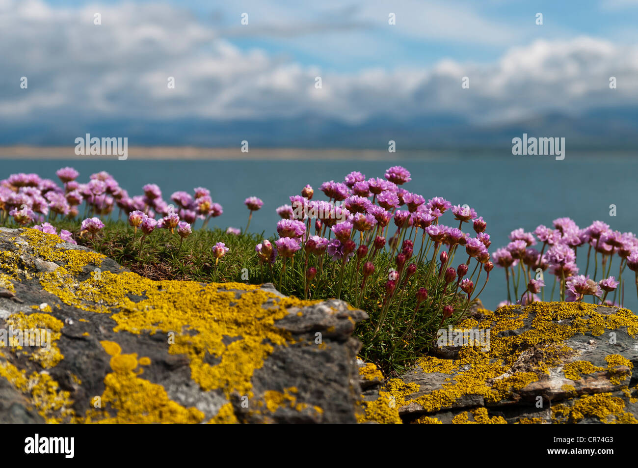 Llanddwyn Insel Anglesey Nordwales Stockfoto