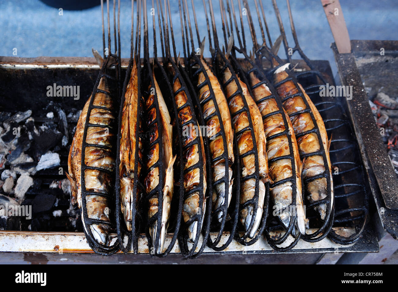 Steckerlfisch, Makrele auf dem Grill, München, Bayern, Deutschland, Europa  Stockfotografie - Alamy