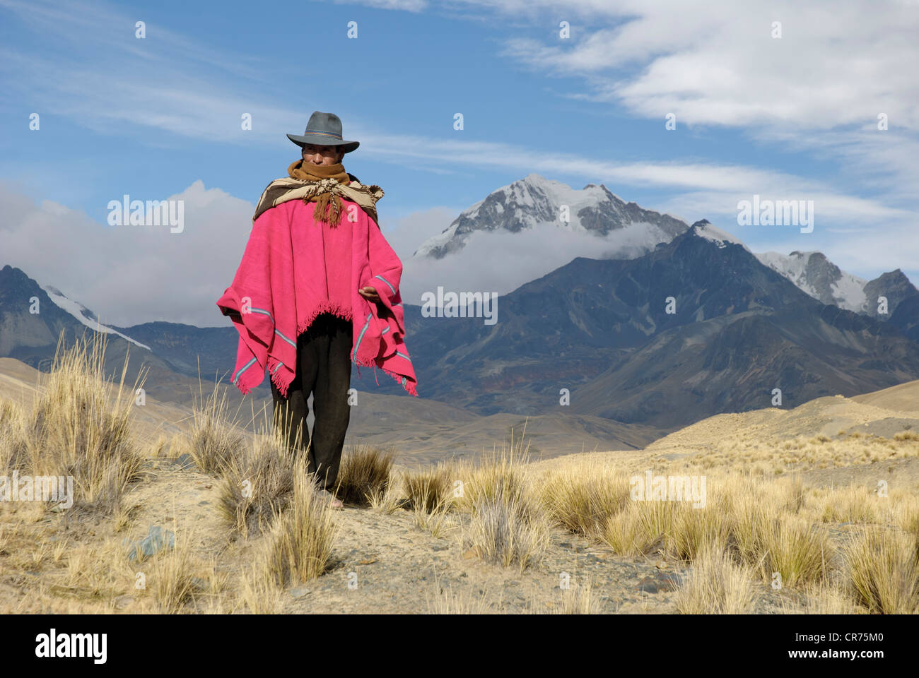 Mallku (führend in Aymara Sprache) in der realen Cordillera, Bolivien Stockfoto