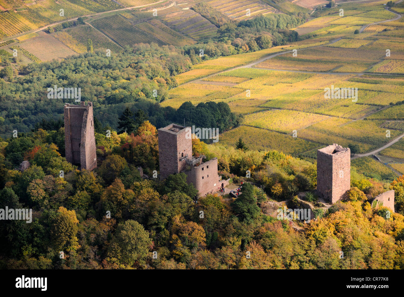 Frankreich, Haut Rhin, die drei Donjons von Eguisheim in das Massiv des Vosges (Luftbild) Stockfoto