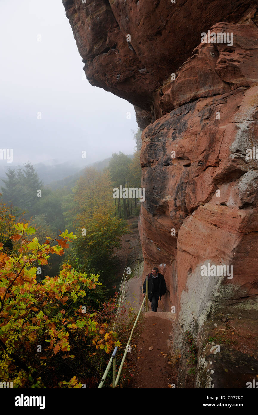 Frankreich, Bas Rhin, Burg des Vieux Windstein Stockfoto