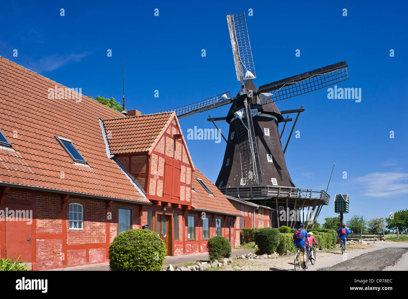 Mühle in den Mühlen und landwirtschaftliches Museum, Lemkenhafen, Fehmarn Insel, Ostsee, Schleswig-Holstein, Deutschland, Europa Stockfoto