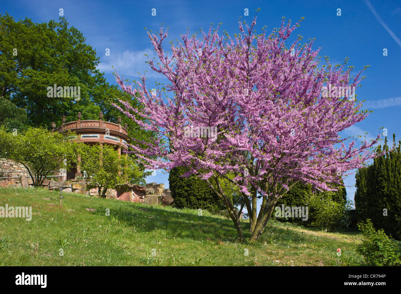 Gleisweiler Stockfotos Gleisweiler Bilder Alamy