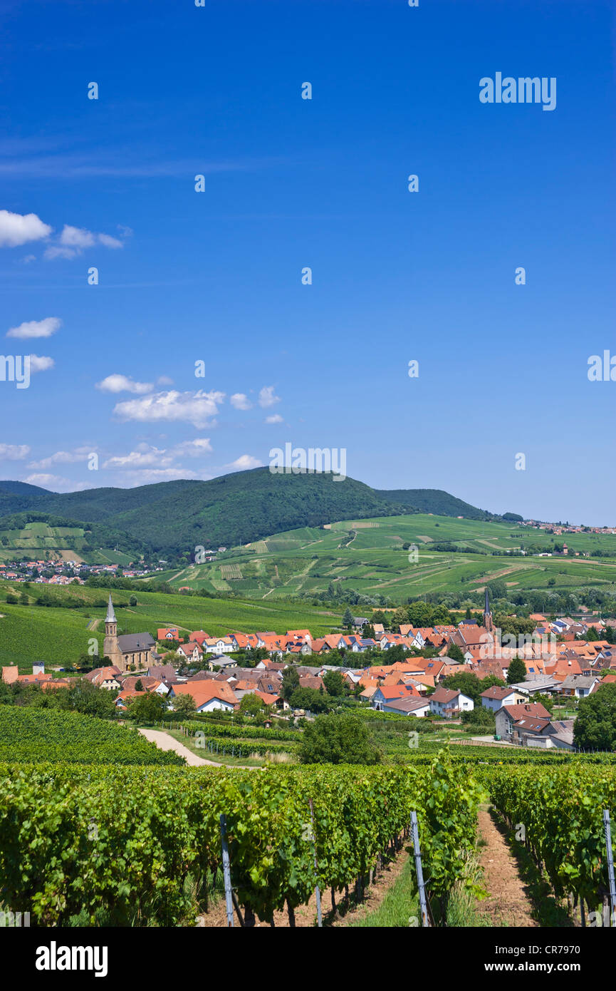 Stadtbild von Birkweiler, Pfälzer Wald Bergregion an der Rückseite, Birkweiler, Suedliche Weinstraße Bezirk Stockfoto