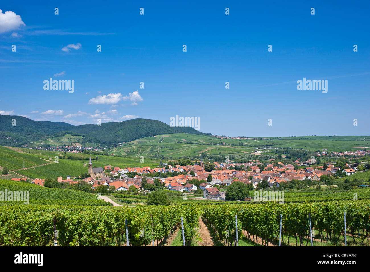 Stadtbild von Birkweiler, Pfälzer Wald Bergregion an der Rückseite, Birkweiler, Suedliche Weinstraße Bezirk Stockfoto