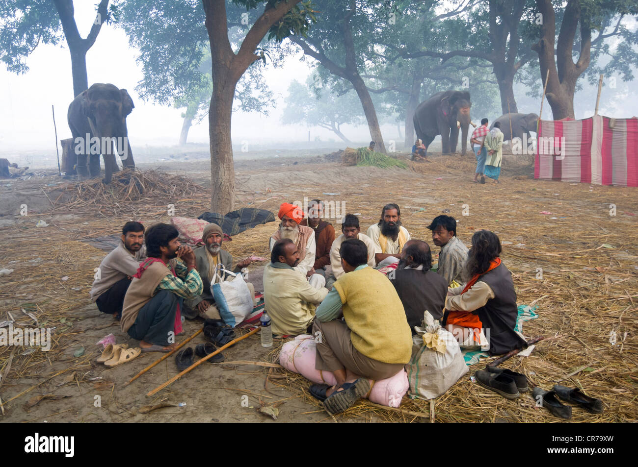 Gruppe von Mahuts gemeinsam sitzen vor ihren Elefanten im Haathi Basar, Sonepur Mela, Sonepur, Bihar, Indien Stockfoto