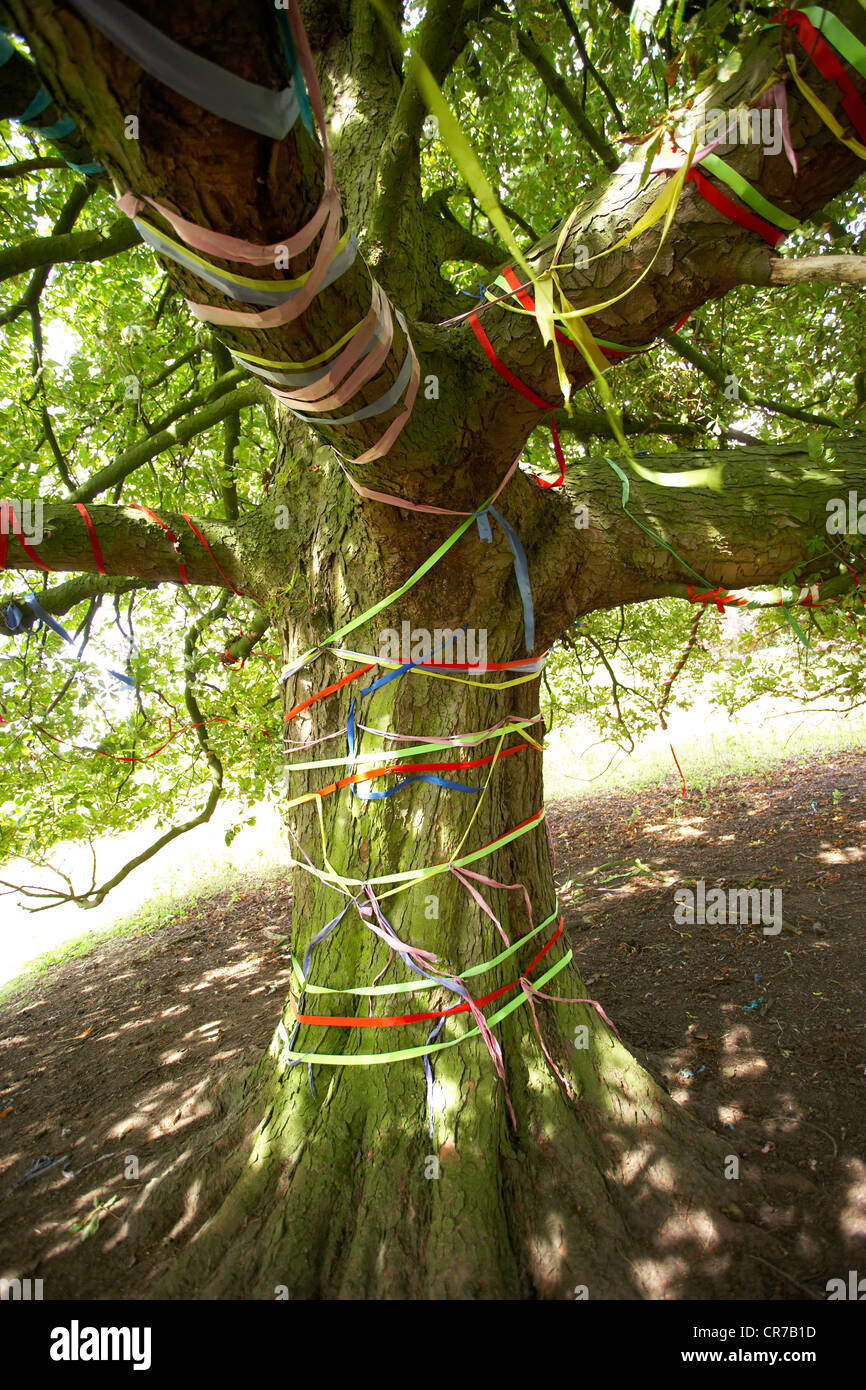 Bunte Bändern gebunden rund um einen Baum. Stockfoto