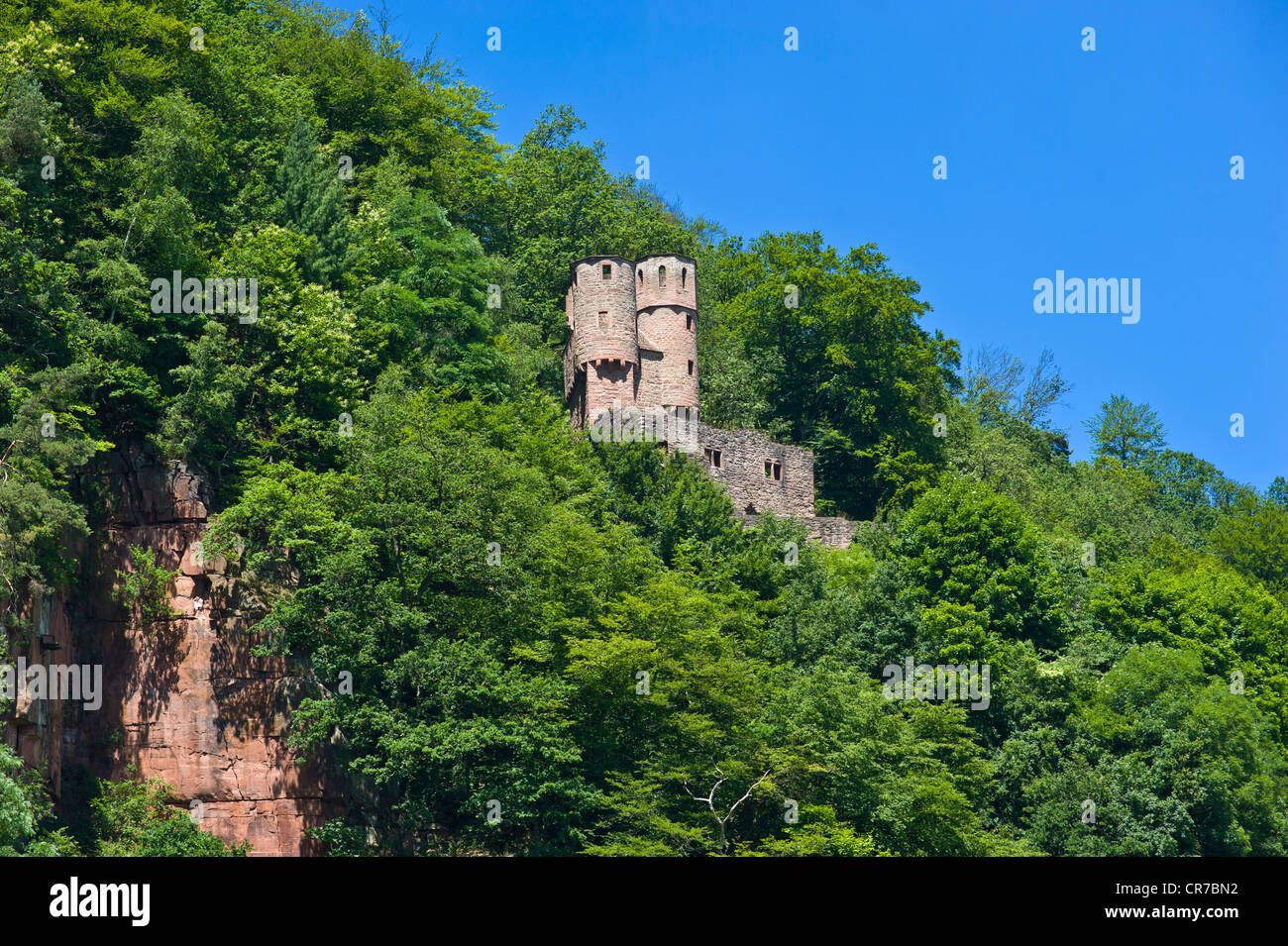 Burg Schadeck, Neckarsteinach, Neckar Tal-Odenwald Natur Park, Hessen, Deutschland, Europa Stockfoto