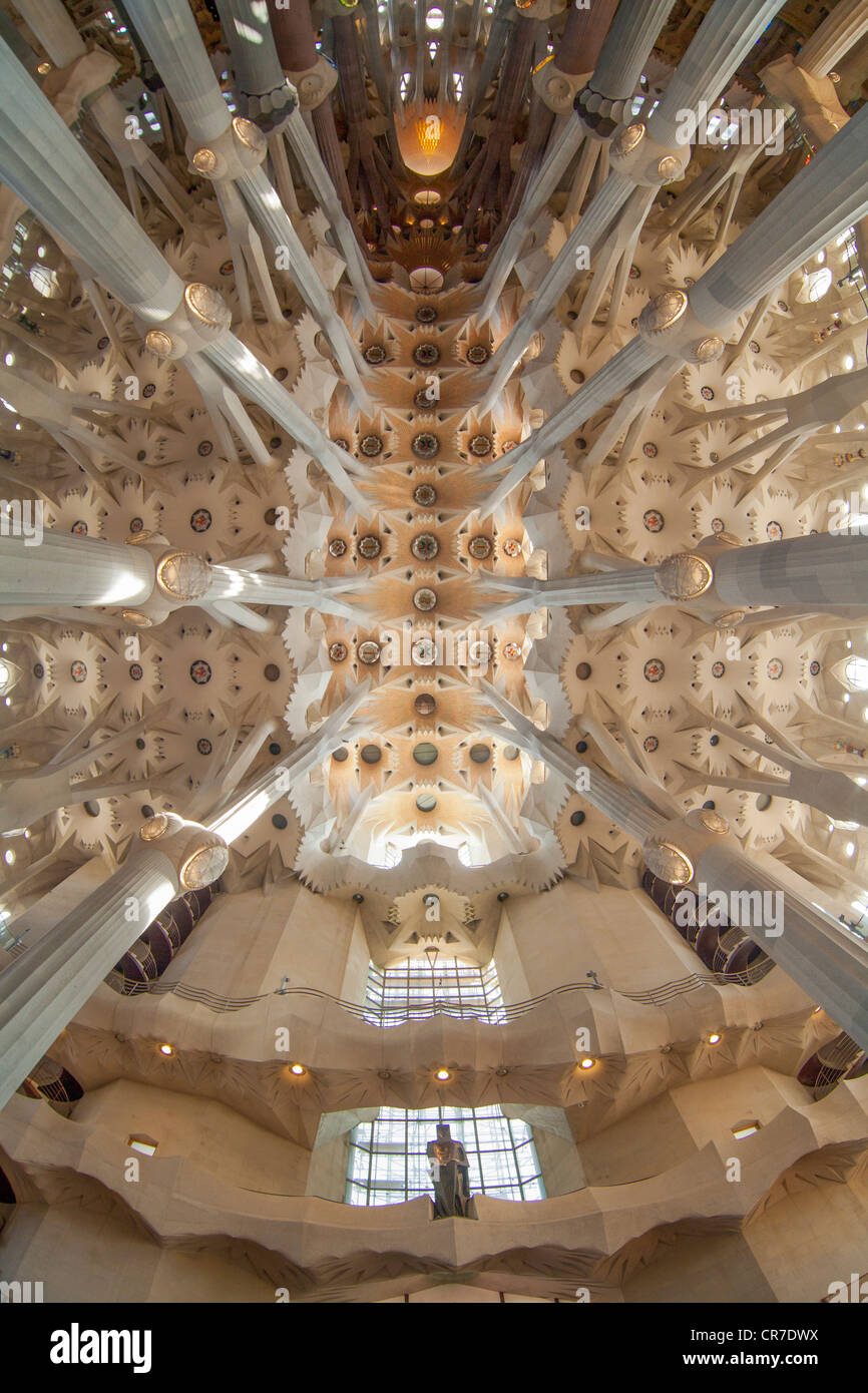 Kirche, Decke, Baum-förmigen stützen und Decke, Innere der Sagrada Familia, Basílica ich Temple Expiatori De La Sagrada Família, Stockfoto