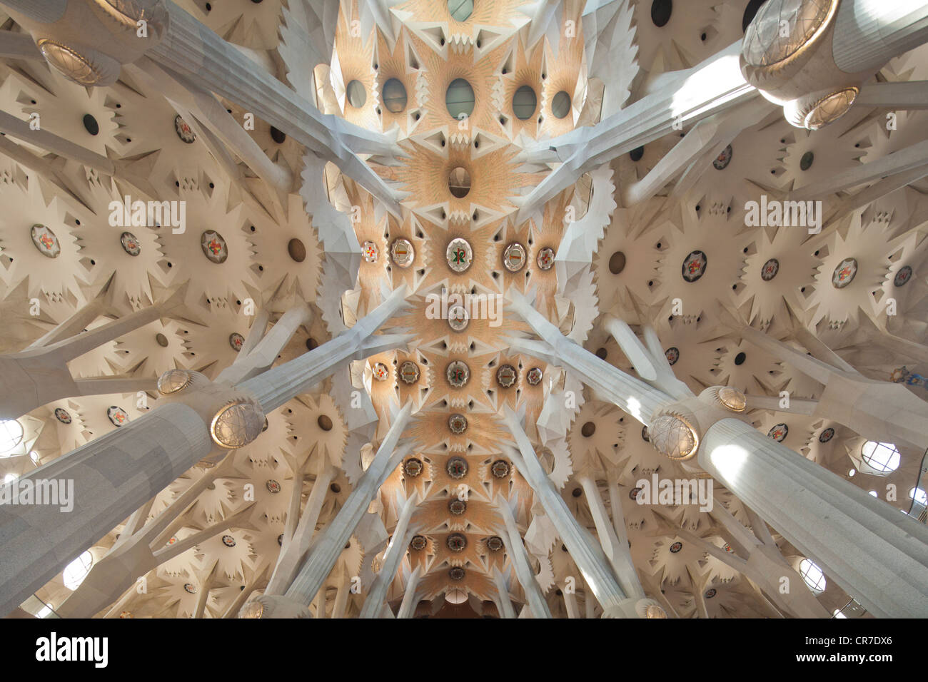Kirche, Decke, Baum-förmigen stützen und Decke, Innere der Sagrada Familia, Basílica ich Temple Expiatori De La Sagrada Família, Stockfoto