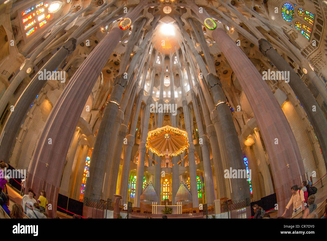 Kirchliche Decke, Altar mit einem Baldachin oder Baldachin von Staat, Baum-förmigen stützen und Decke, Innere der Sagrada Familia, Stockfoto