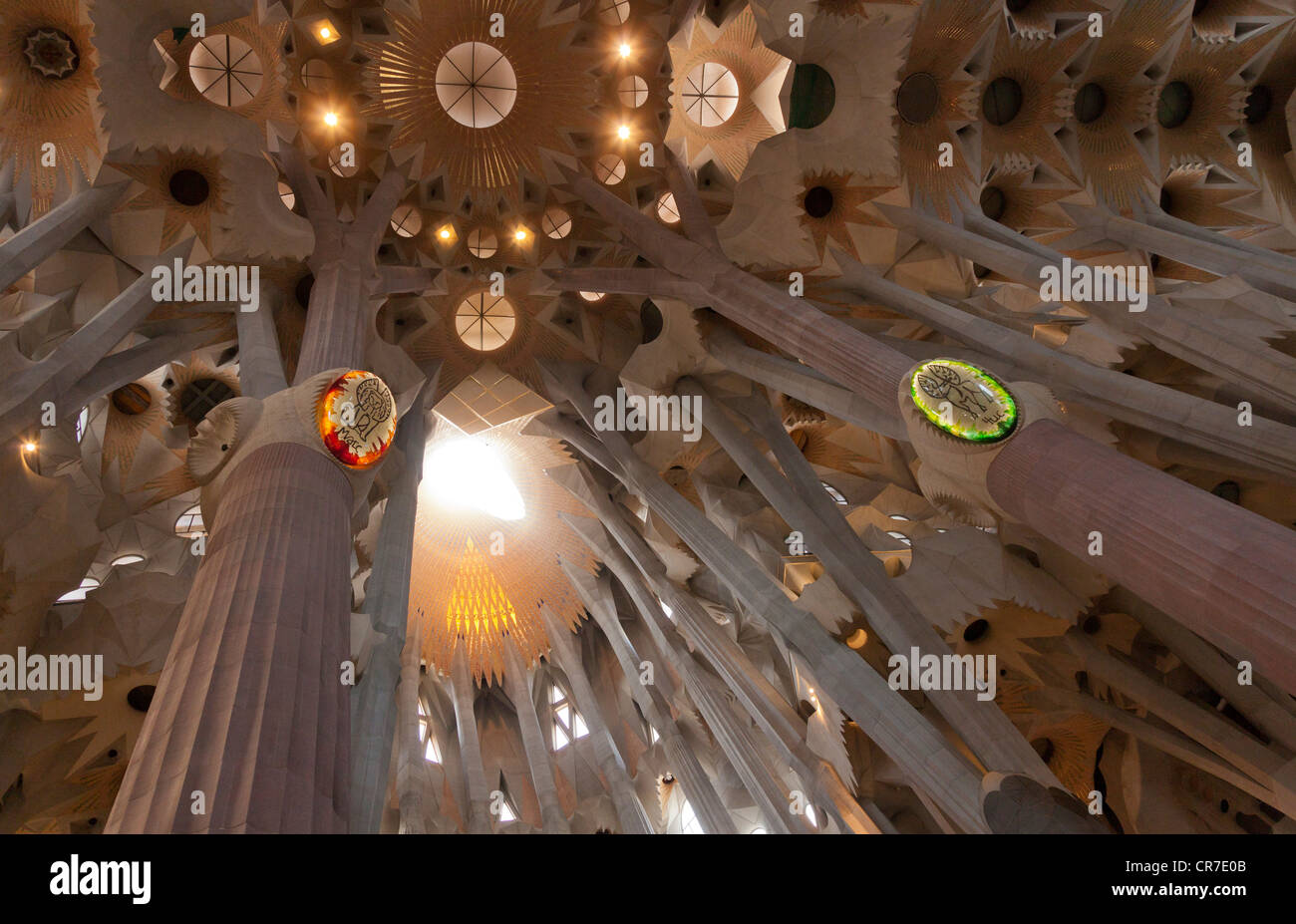 Baum-förmigen Säulen und Decke, Innere der Sagrada Familia, Basílica ich Temple Expiatori De La Sagrada Família, Basilika und Stockfoto