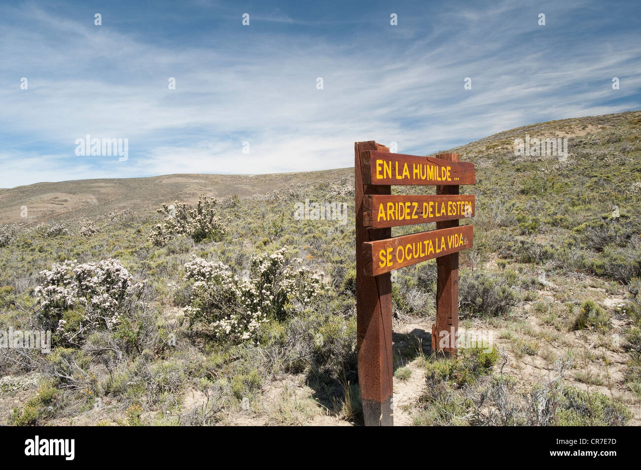Schild mit Text Massage "En la Humilde... Aridez De La Estepa Se versteckte la Vida "In den demütigen... Trockenen Steppe versteckt Leben... Stockfoto