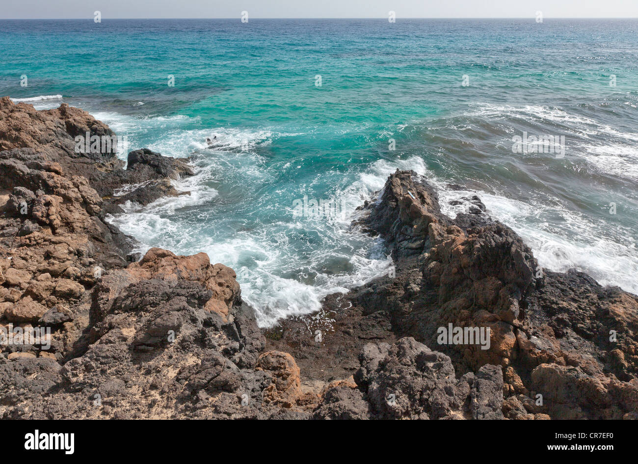 Felsenküste, Parque Natural de Corraleio, Fuerteventura, Kanarische Inseln, Spanien, Europa Stockfoto