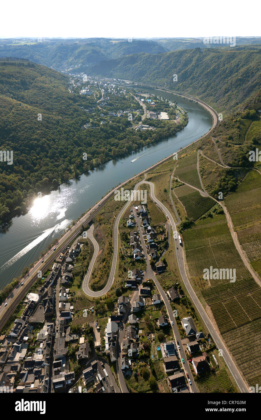 Luftaufnahme, Mosel, Klotten, Eifel-Gebirge, Rheinland-Pfalz, Deutschland, Europa Stockfoto