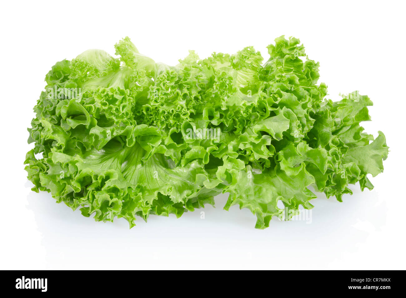 Grüne Salatblätter Stockfoto
